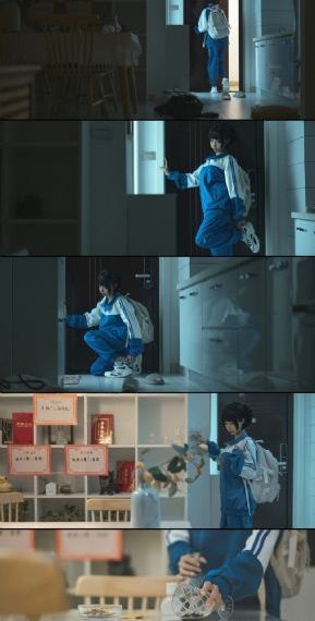 星辰视频免费高清在线观看动漫