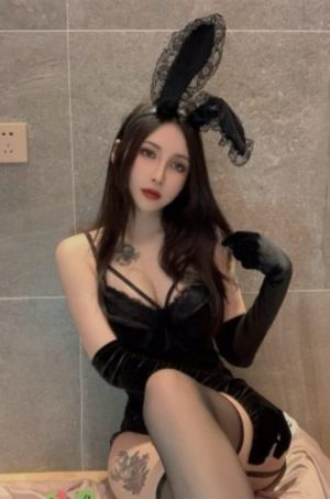 守护甜心中文版