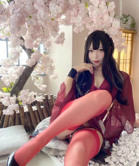 无情道电视剧全集在线观看