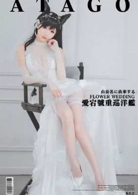 日韩va在线观看