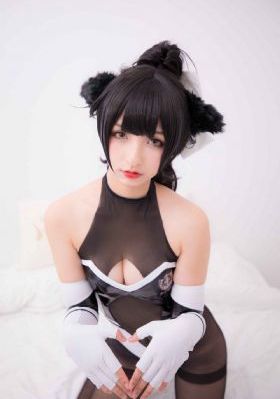 黑猫警长第一部